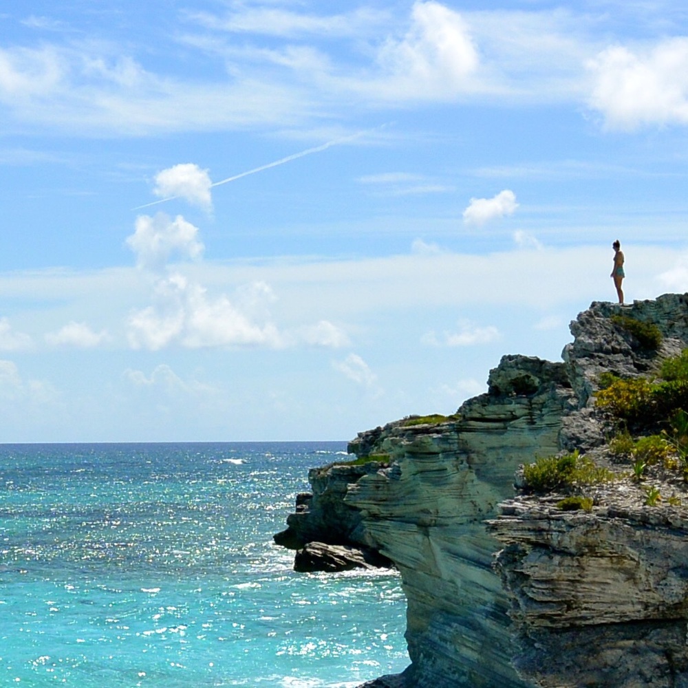 Meet your Posher, Curtis